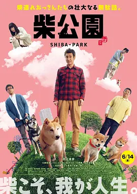 麻豆主播精品视频在线观看